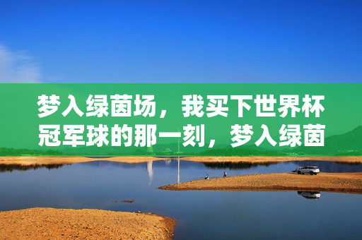 梦入绿茵场,我买下世界杯冠军球的那一刻,梦入绿茵场,买下世界杯冠军球的瞬间