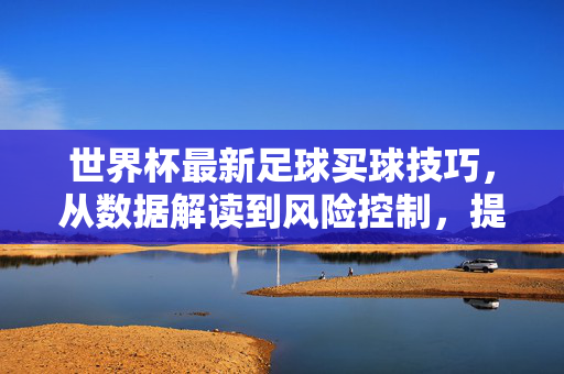 世界杯最新足球买球技巧,从数据解读到风险控制,提升投注胜率的核心策略,世界杯足球买球,数据解读与风险控制的胜率提升策略