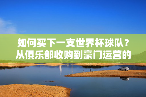 如何买下一支世界杯球队?从俱乐部收购到豪门运营的全解析,买下一支世界杯球队,从收购到豪门运营全解析