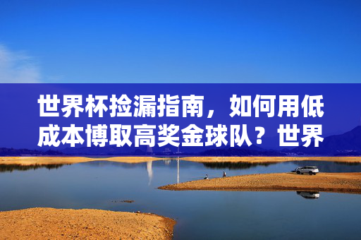 世界杯捡漏指南，如何用低成本博取高奖金球队？世界杯低成本高奖金球队捡漏指南