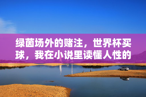 绿茵场外的赌注，世界杯买球，我在小说里读懂人性的球场，世界杯买球，小说里的人性球场