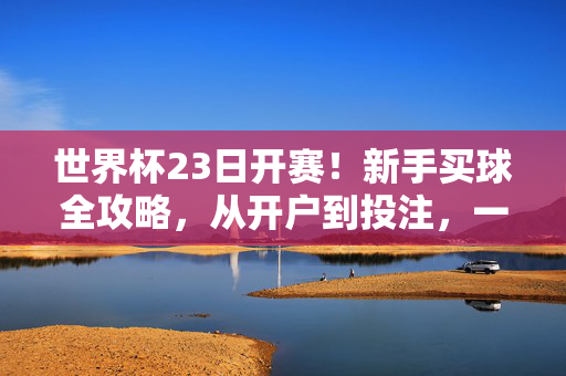 世界杯23日开赛！新手买球全攻略，从开户到投注，一篇搞定，世界杯23日开赛！新手买球全攻略，从开户到投注一篇搞定