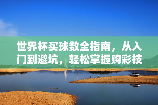 世界杯买球数全指南，从入门到避坑，轻松掌握购彩技巧
