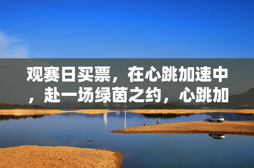 观赛日买票，在心跳加速中，赴一场绿茵之约，心跳加速赴绿茵之约