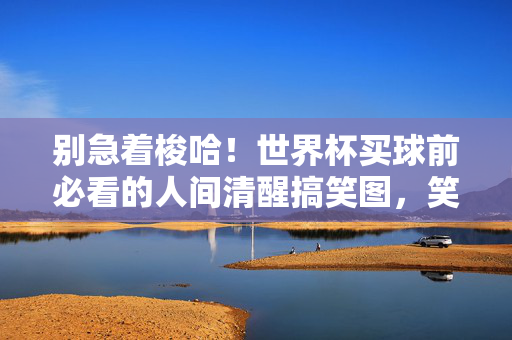别急着梭哈!世界杯买球前必看的人间清醒搞笑图,笑到抽筋还能省下半个月工资,别梭哈!世界杯买球人间清醒搞笑图,笑到抽筋还能省工资
