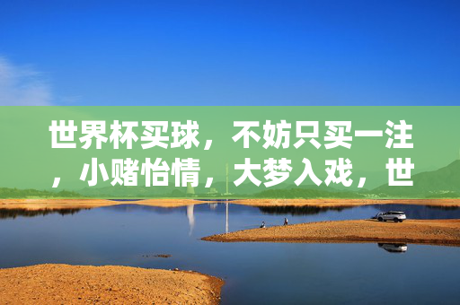 世界杯买球，不妨只买一注，小赌怡情，大梦入戏，世界杯一注小赌，怡情大梦入戏