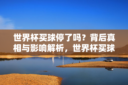 世界杯买球停了吗?背后真相与影响解析,世界杯买球停了吗?真相与影响解析