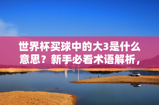 世界杯买球中的大3是什么意思？新手必看术语解析，世界杯买球术语大3解析，新手必看