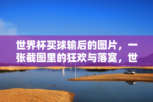 世界杯买球输后的图片，一张截图里的狂欢与落寞，世界杯买球输后截图，狂欢与落寞同框