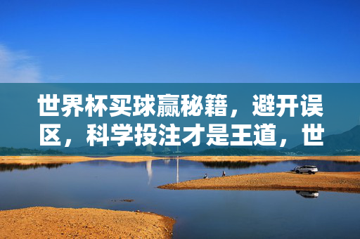 世界杯买球赢秘籍，避开误区，科学投注才是王道，世界杯买球赢秘籍，避开误区，科学投注才是王道