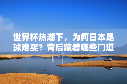 世界杯热潮下，为何日本足球难买？背后藏着哪些门道？世界杯热潮下，日本足球难买背后的门道