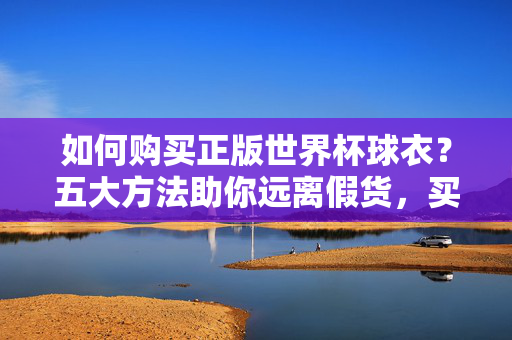 如何购买正版世界杯球衣？五大方法助你远离假货，买正版世界杯球衣，五大方法远离假货
