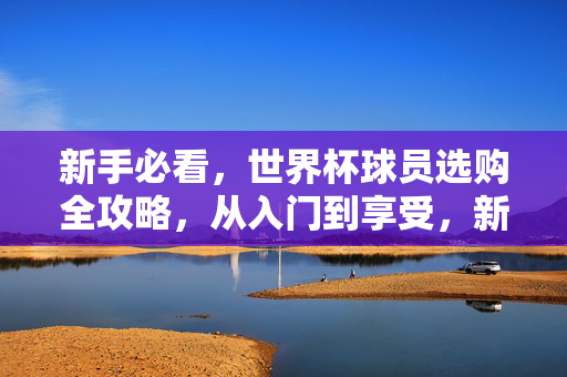 新手必看，世界杯球员选购全攻略，从入门到享受，新手世界杯球员选购全攻略，从入门到享受