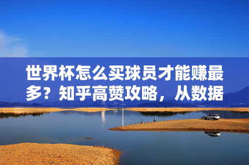 世界杯怎么买球员才能赚最多?知乎高赞攻略,从数据到心态,这5步让你赢在起跑线,世界杯买球员赚最多,知乎高赞5步攻略,从数据到心态赢在起跑线