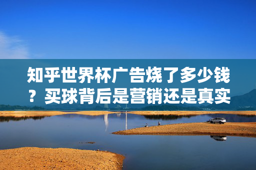 知乎世界杯广告烧了多少钱？买球背后是营销还是真实投入？知乎世界杯广告烧了多少钱？买球背后是营销还是真实投入？