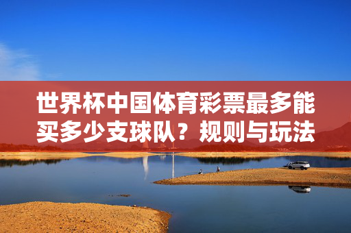 世界杯中国体育彩票最多能买多少支球队?规则与玩法解析,世界杯中国体育彩票最多可购球队数及规则玩法解析