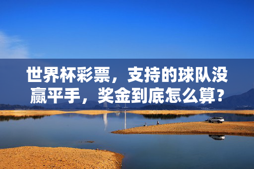 世界杯彩票，支持的球队没赢平手，奖金到底怎么算？世界杯彩票，支持的球队没赢平手，奖金怎么算？