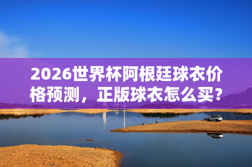 2026世界杯阿根廷球衣价格预测，正版球衣怎么买？预算多少才合理？2026世界杯阿根廷球衣价格预测，正版购买与合理预算指南