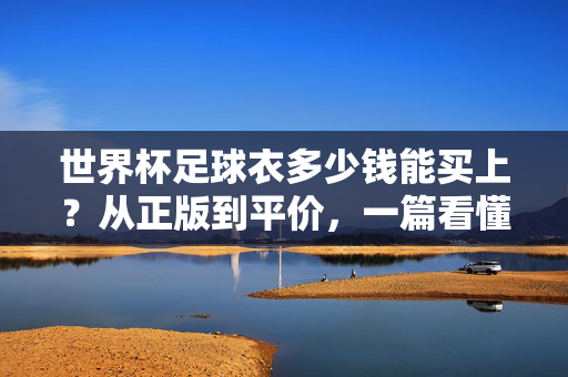 世界杯足球衣多少钱能买上？从正版到平价，一篇看懂购买攻略，世界杯足球衣多少钱？正版平价购买攻略