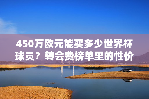 450万欧元能买多少世界杯球员？转会费榜单里的性价比密码，450万欧元能买多少世界杯球员？转会费榜单里的性价比密码