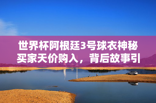 世界杯阿根廷3号球衣神秘买家天价购入，背后故事引热议，世界杯阿根廷3号球衣天价易主，神秘买家背后故事引热议