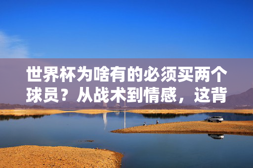 世界杯为啥有的必须买两个球员？从战术到情感，这背后藏着双倍逻辑，世界杯双球员背后的战术与情感双倍逻辑