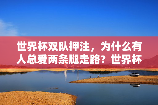 世界杯双队押注，为什么有人总爱两条腿走路？世界杯双队押注，为何总爱两条腿走路？