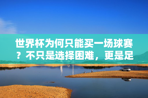 世界杯为何只能买一场球赛?不只是选择困难,更是足球的魅力与无奈,世界杯为何只能买一场?选择困难里的足球魅力与无奈