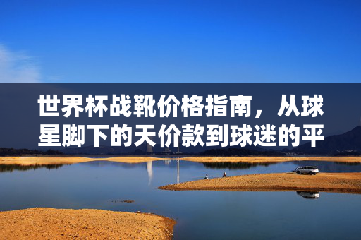 世界杯战靴价格指南，从球星脚下的天价款到球迷的平价之选，世界杯战靴价格指南，从天价款到平价之选
