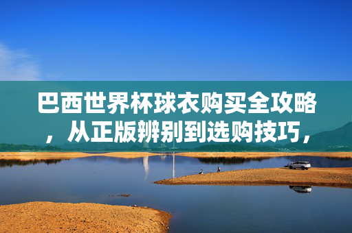 巴西世界杯球衣购买全攻略，从正版辨别到选购技巧，助你轻松入手心仪战袍，巴西世界杯球衣购买全攻略，正版辨别与选购技巧助你轻松选战袍