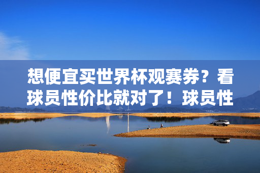 想便宜买世界杯观赛券？看球员性价比就对了！球员性价比，世界杯观赛券便宜购指南