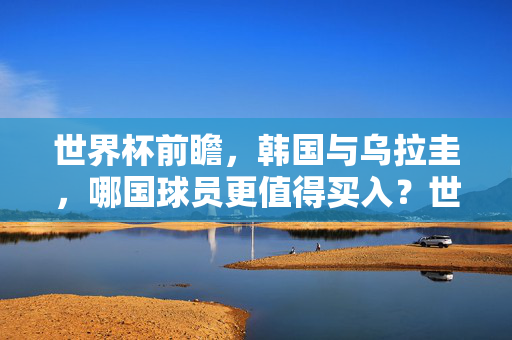 世界杯前瞻，韩国与乌拉圭，哪国球员更值得买入？世界杯前瞻，韩国与乌拉圭，哪国球员更值得买入？