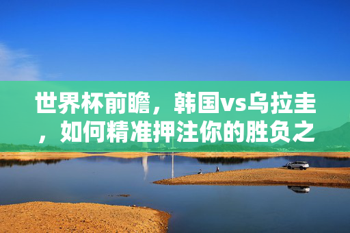 世界杯前瞻,韩国vs乌拉圭,如何精准押注你的胜负之选?韩国vs乌拉圭世界杯前瞻,精准押注胜负之选