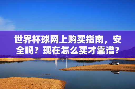 世界杯球网上购买指南，安全吗？现在怎么买才靠谱？世界杯球网网上购买安全与靠谱指南