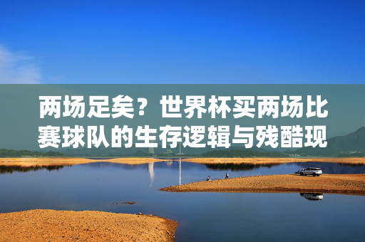 两场足矣？世界杯买两场比赛球队的生存逻辑与残酷现实，两场足矣？世界杯球队的生存逻辑与残酷现实