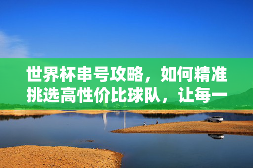 世界杯串号攻略，如何精准挑选高性价比球队，让每一分投入都值得，世界杯串号高性价比攻略，让每一分投入都值得