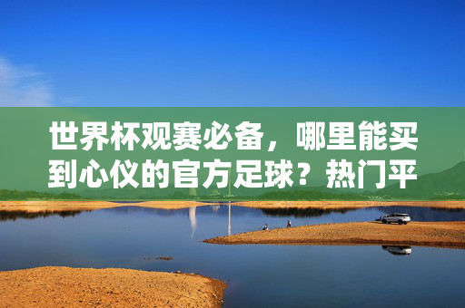 世界杯观赛必备，哪里能买到心仪的官方足球？热门平台选购指南，世界杯官方足球热门平台选购指南