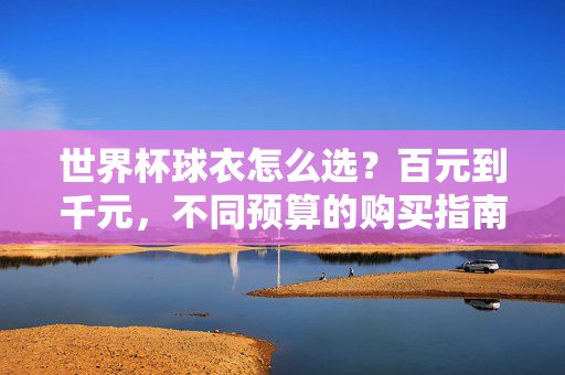 世界杯球衣怎么选？百元到千元，不同预算的购买指南，世界杯球衣选购指南，百元到千元预算怎么选？