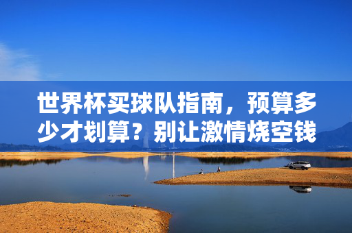 世界杯买球队指南，预算多少才划算？别让激情烧空钱包，世界杯买球队预算指南，多少才划算？别让激情烧空钱包