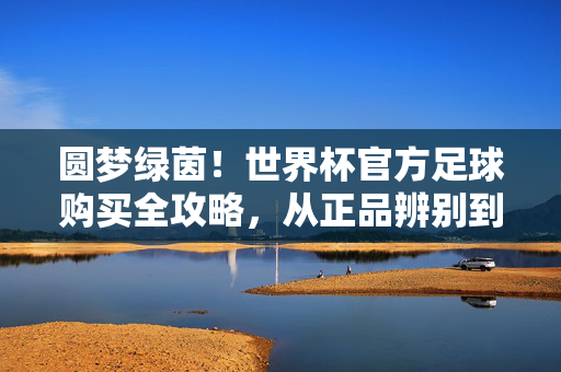 圆梦绿茵！世界杯官方足球购买全攻略，从正品辨别到入手渠道，圆梦绿茵！世界杯官方足球购买全攻略