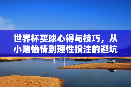 世界杯买球心得与技巧，从小赌怡情到理性投注的避坑指南，世界杯买球技巧，从娱乐到理性的避坑指南