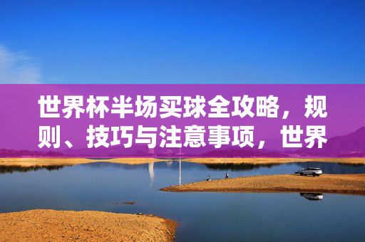 世界杯半场买球全攻略,规则、技巧与注意事项,世界杯半场买球全攻略,规则、技巧与注意事项