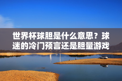 世界杯球胆是什么意思？球迷的冷门预言还是胆量游戏？世界杯球胆，冷门预言还是胆量游戏？