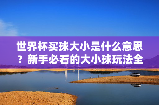 世界杯买球大小是什么意思？新手必看的大小球玩法全解析，新手必看，世界杯大小球玩法全解析