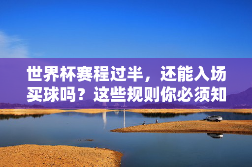 世界杯赛程过半，还能入场买球吗？这些规则你必须知道，世界杯赛程过半，入场买球规则必知