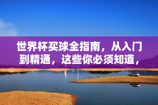 世界杯买球全指南，从入门到精通，这些你必须知道，世界杯买球入门到精通全指南