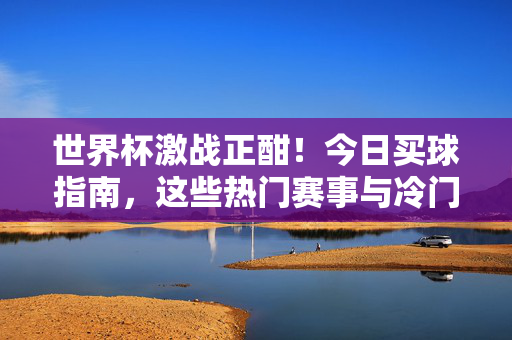 世界杯激战正酣！今日买球指南，这些热门赛事与冷门机会不容错过，世界杯今日买球指南，热门赛事与冷门机会不容错过