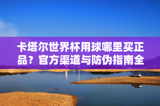 卡塔尔世界杯用球哪里买正品？官方渠道与防伪指南全解析，卡塔尔世界杯用球正品购买指南，官方渠道与防伪全解析
