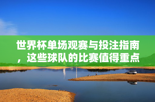 世界杯单场观赛与投注指南,这些球队的比赛值得重点关注,世界杯焦点球队观赛投注指南