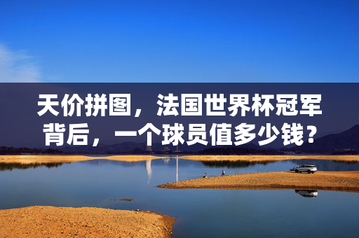 天价拼图，法国世界杯冠军背后，一个球员值多少钱？天价拼图，法国世界杯冠军球员价值几何？